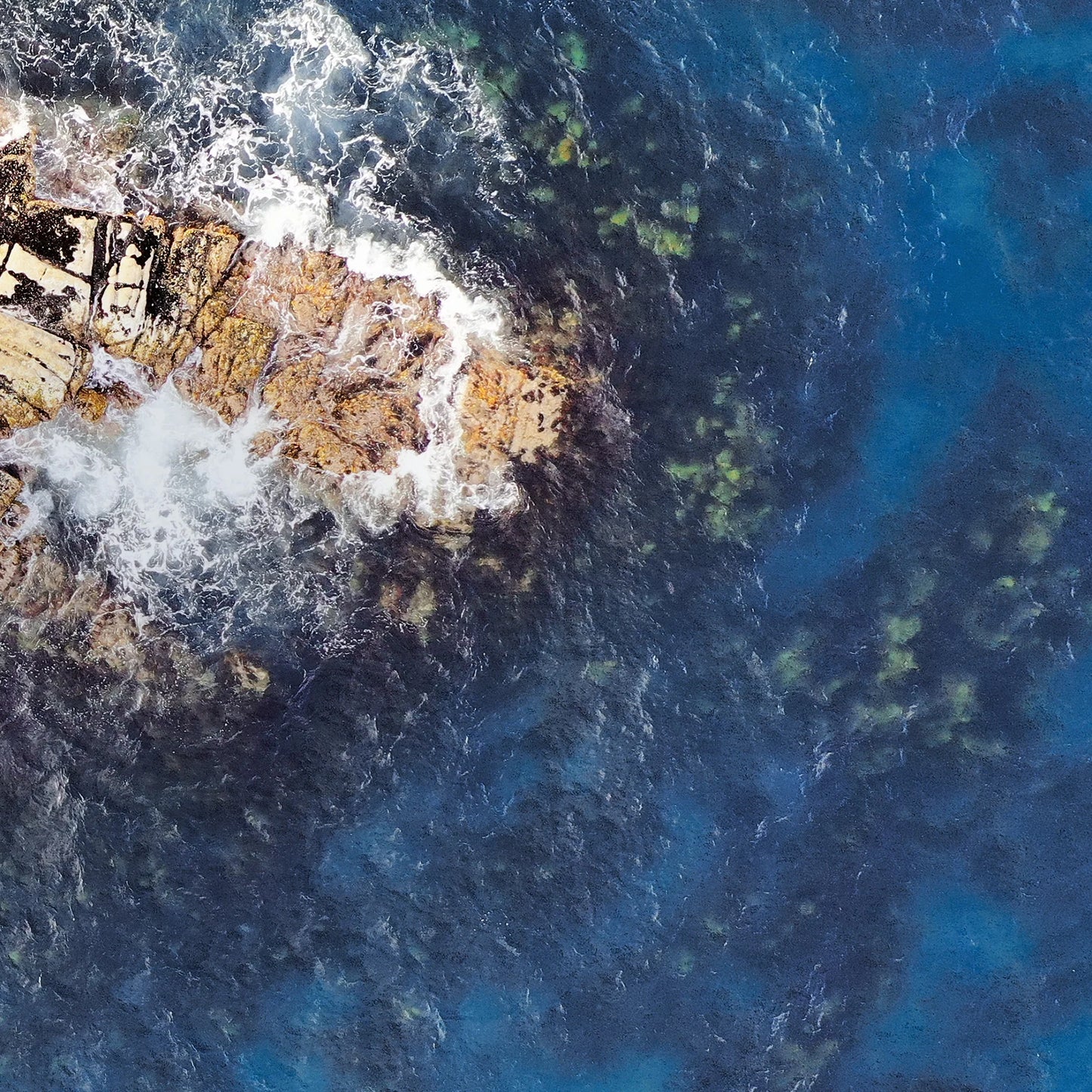 Purito Deep Sea Pure Water Cream 50g