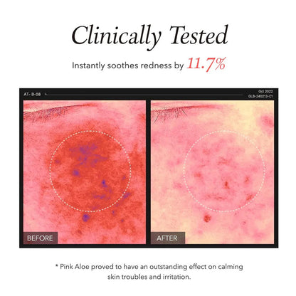 April Skin Pink Aloe Pack Cleanser