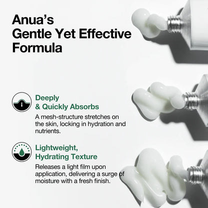 Anua Heartleaf Centella Red Spot Cream 30g