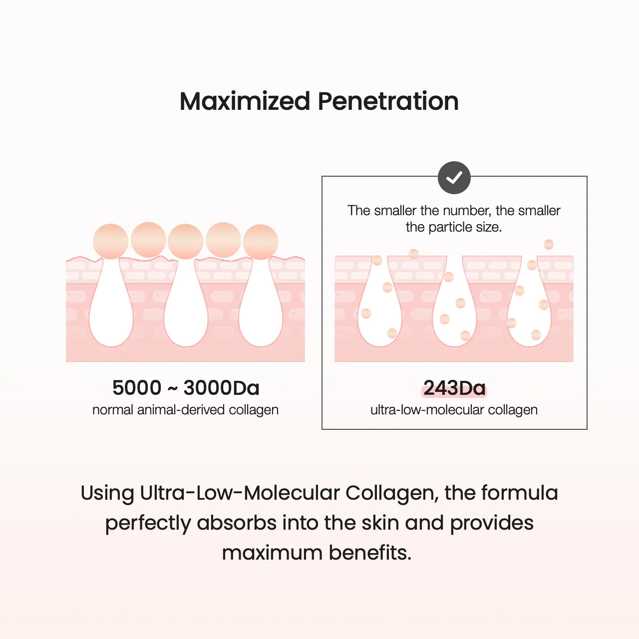 Biodance Collagen Cream