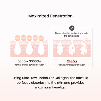 Biodance Collagen Cream