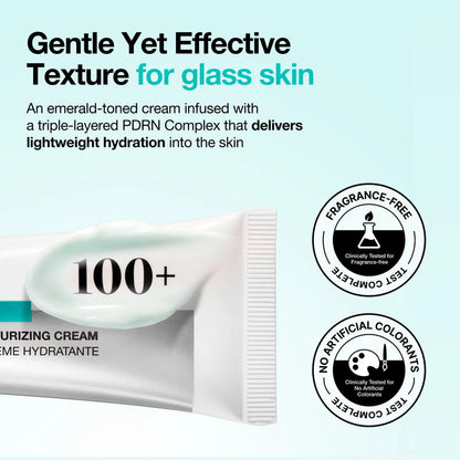 Anua PDRN Hyaluronic Acid 100 Moisturizing Cream 60ml